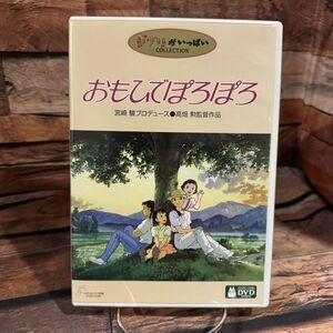 Only Yesterday Omoide Poro Poro Studio Ghibli Anime DVD Isao Takahata